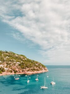 people on beach during daytime