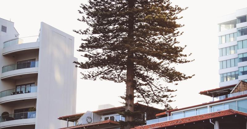 Immobilier de Luxe à Mount Barker Australie Vendre Acheter image 1